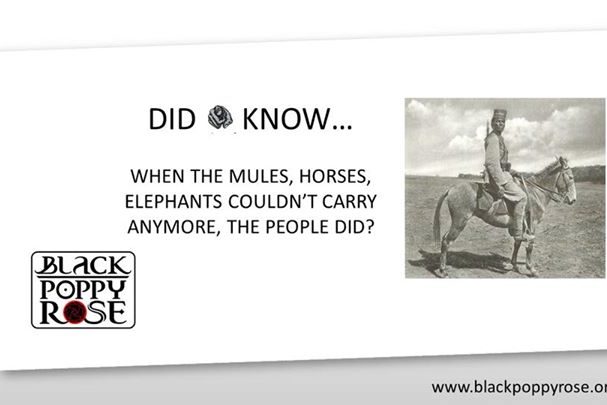 some-information-on-the-war-efforts.jpg Some information on the war efforts