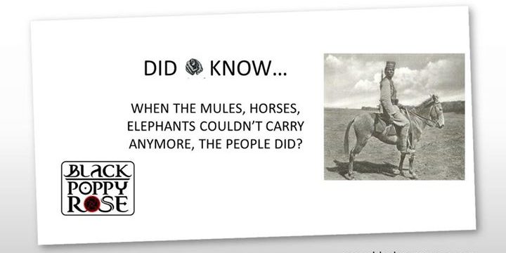 Some information on the war efforts