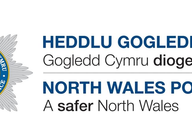 please-vote-for-race-council-cymru.jpg Please vote for race council Cymru