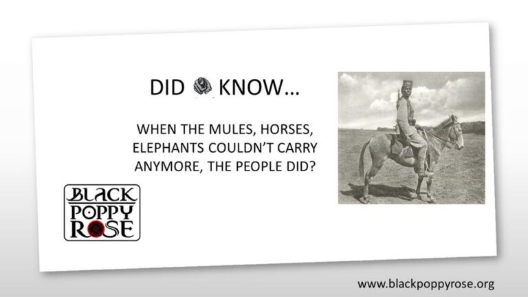 Some-information-on-the-war-efforts.xxohf9b3bd486fdf5c43841185c8729c2792oe5CD2E311