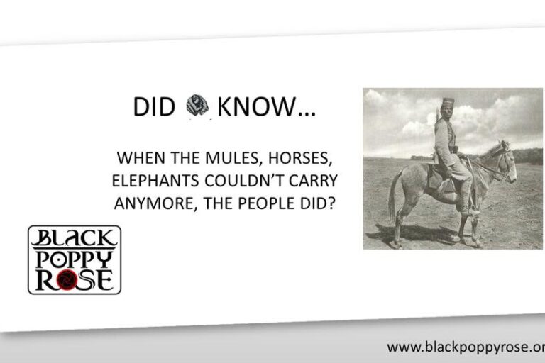 Some-information-on-the-war-efforts.xxohf9b3bd486fdf5c43841185c8729c2792oe5CD2E311