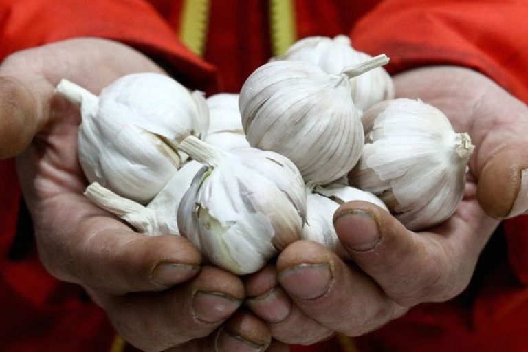 coronavirus the fake health advice you should ignore garlic coronavirus the fake health advice you should ignore garlic