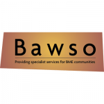 bawsologo